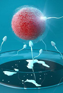 B套餐 供自包成功15万